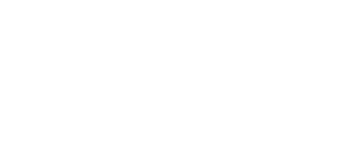Meta